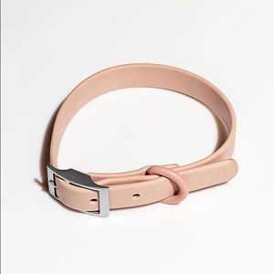 NORDSTROM Wild One dog collar